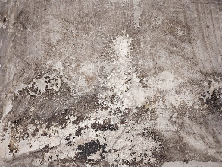 Artwork; Naturografia; Soil; Natural elements; Roberto Ghezzi; abstract; Casentino; La Fonderia